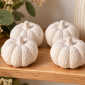 Pumpkin Aroma Stones Handmade Autumn Home Fragrance