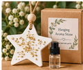 Gold Star Hanging Aroma Stone – Wholesale