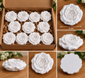 Rose Plaster Blanks – 6 cm – Pack of 10